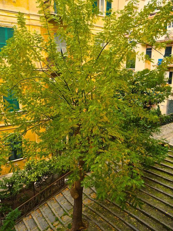 B&B Cernaia 42 La Spezia Buitenkant foto
